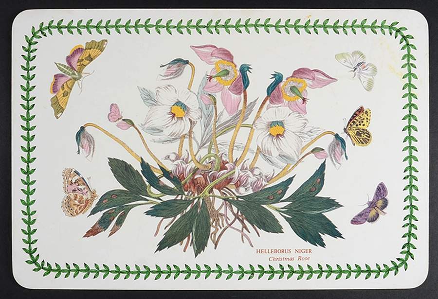 Botanic Garden 17" Large Corkboard Placemat by Portmeirion-1
