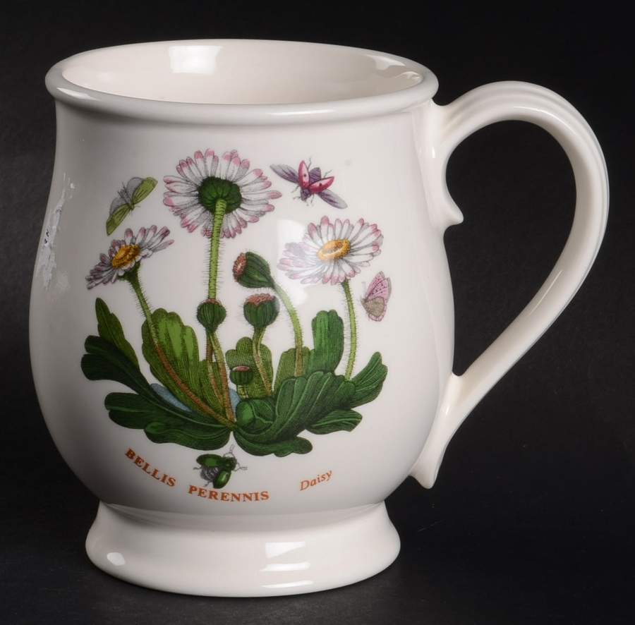 Botanic Garden Bristol Mug by Portmeirion-1