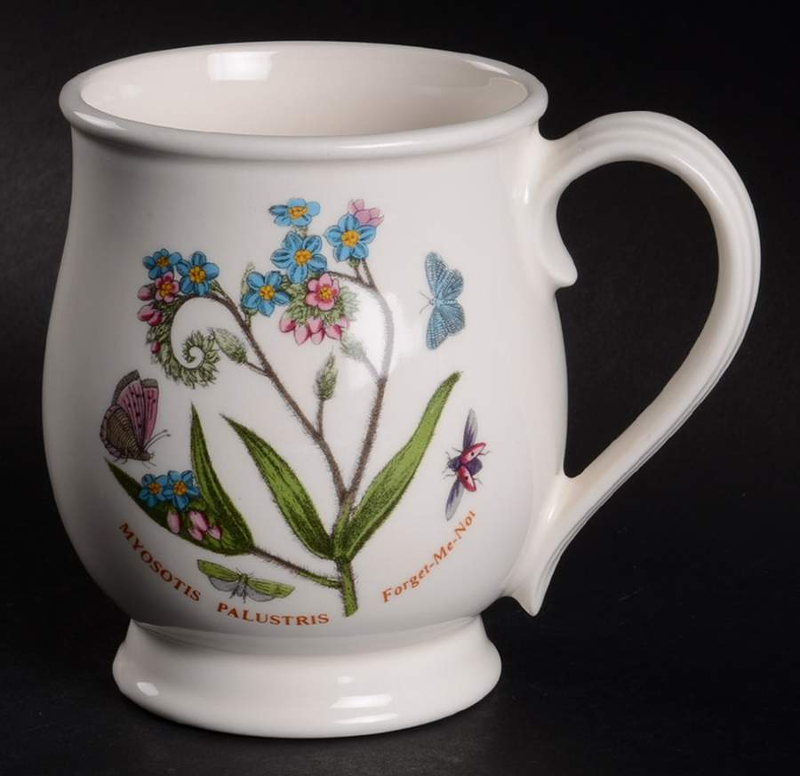 Botanic Garden Bristol Mug by Portmeirion-1