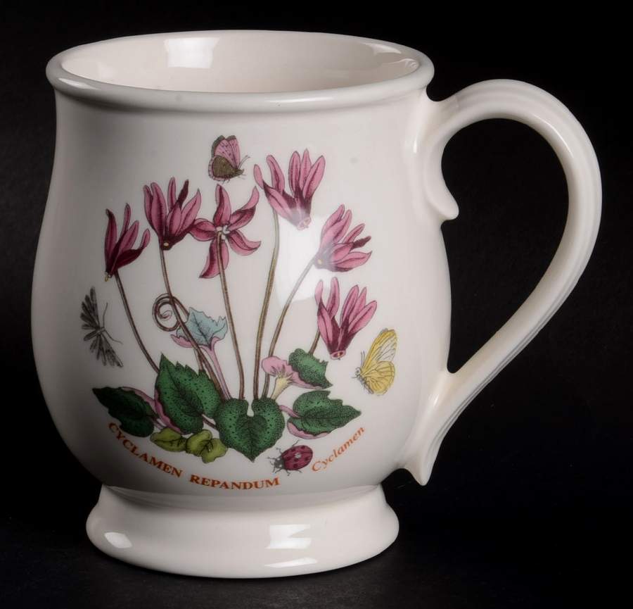 Botanic Garden Bristol Mug by Portmeirion-1