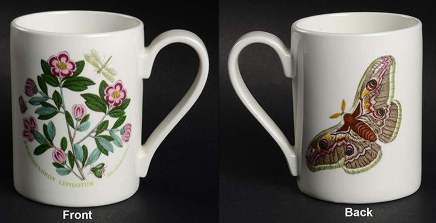 Botanic Garden 1972 Flower & Butterfly Mug by Portmeirion-1