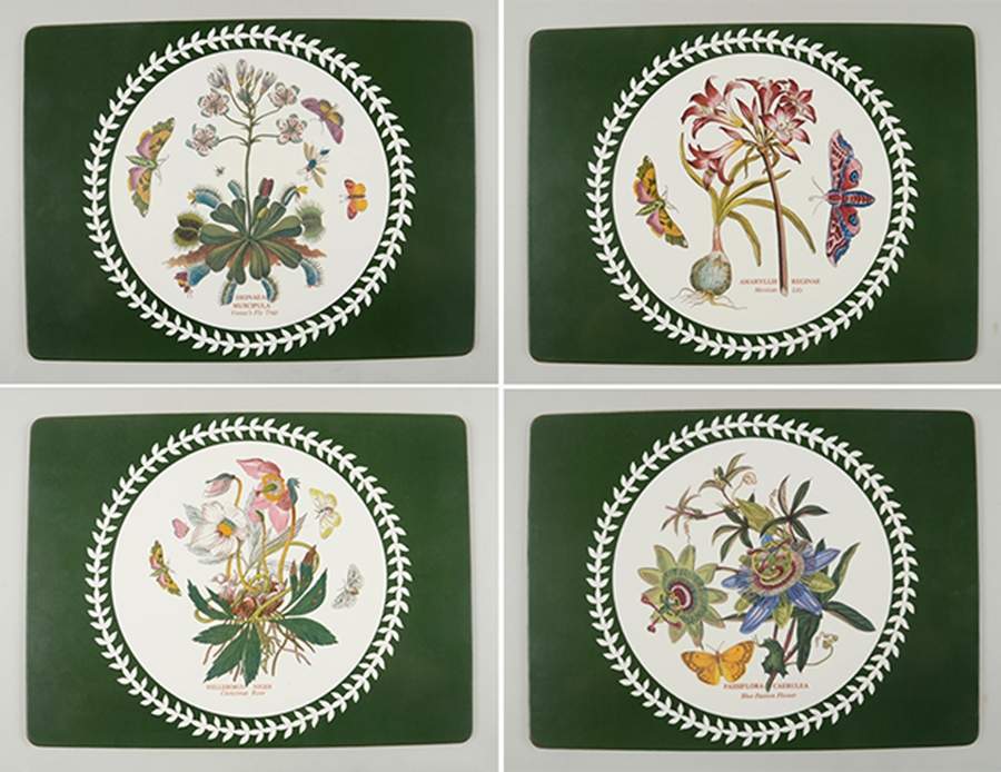 Botanic Garden Rectangular Corkboard Placemat - Set of 4 by Portmeirion-1
