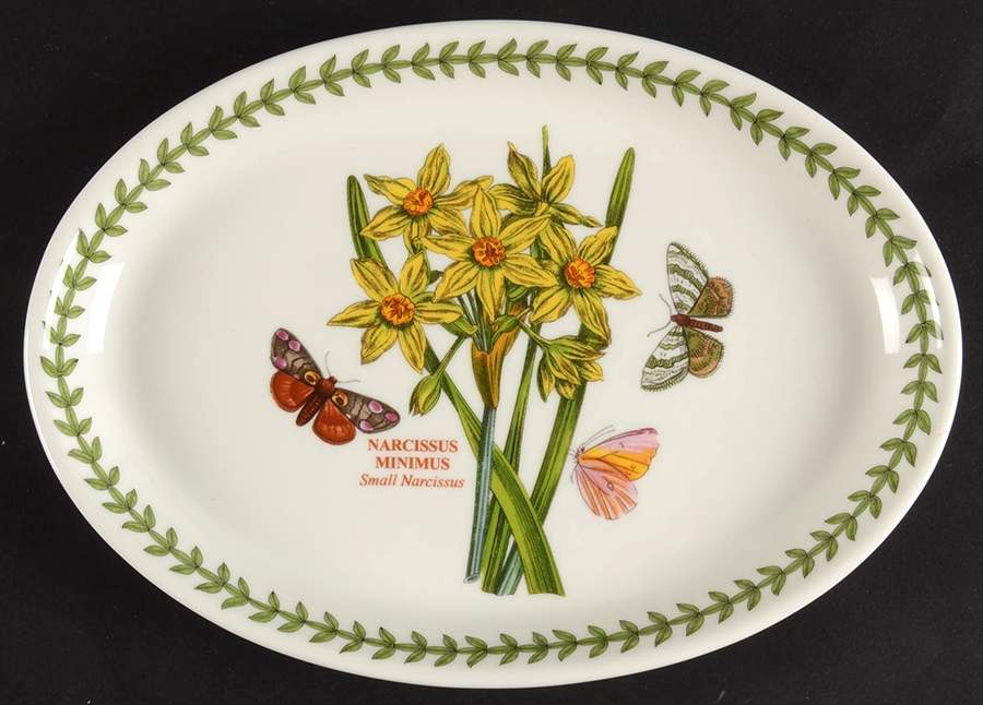 Botanic Garden 9" Oval Steak Platter by Portmeirion-1