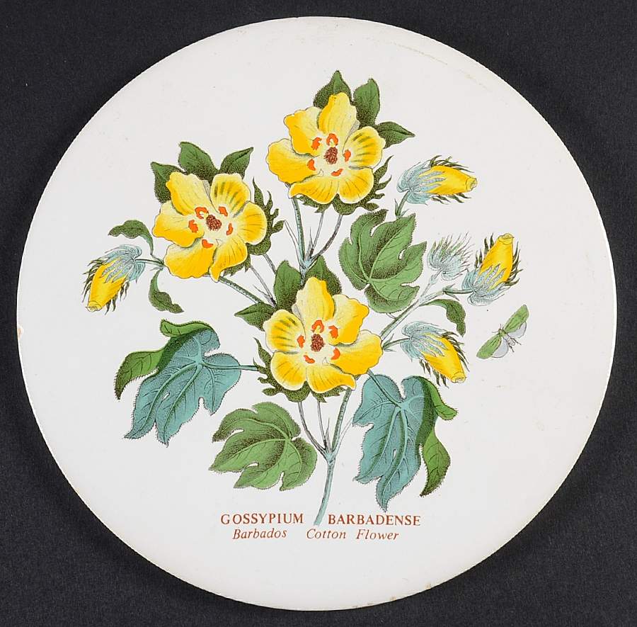 Botanic Garden 6" Round Trivet by Portmeirion-1