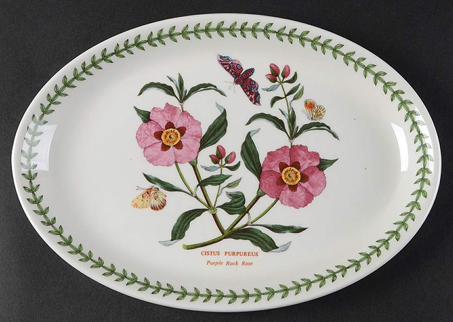 Botanic Garden 10" Oval Steak Platter by Portmeirion-1