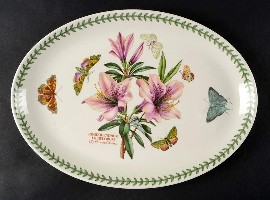 Botanic Garden 13" Oval Steak Platter by Portmeirion-1