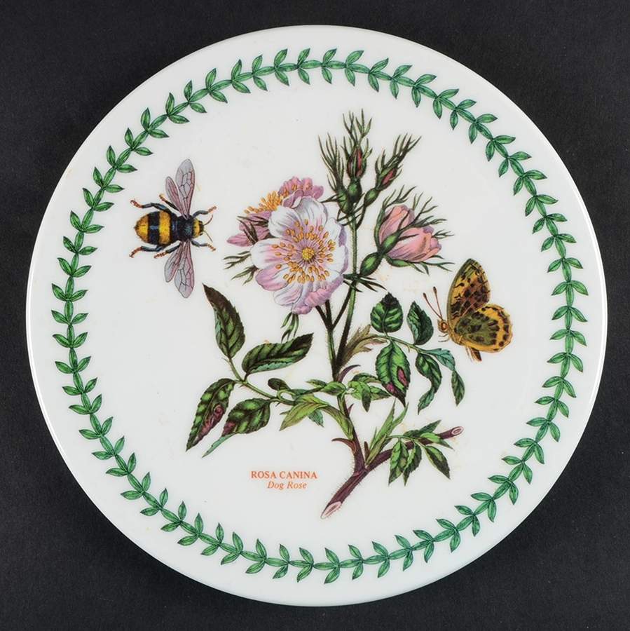 Botanic Garden Melamine/Melmac Trivet by Portmeirion-1