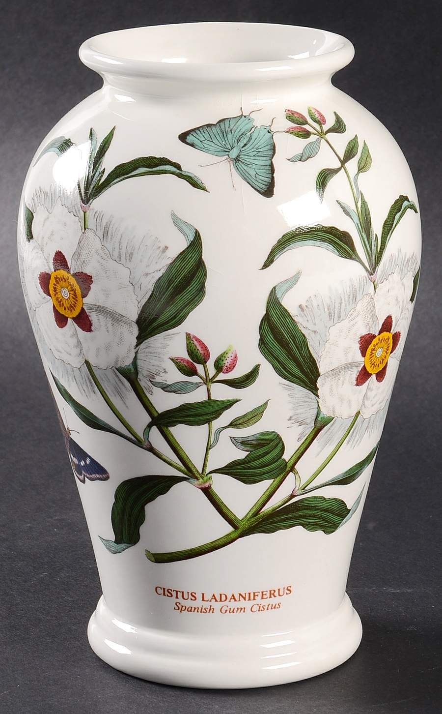 Botanic Garden 6" Canton Vase by Portmeirion-1