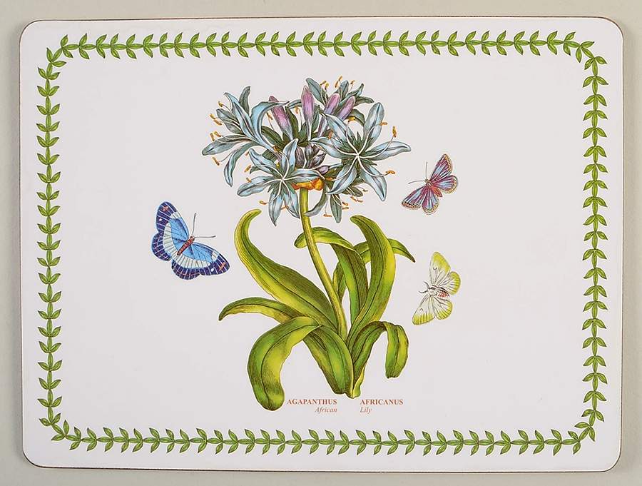 Botanic Garden Small Corkboard Placemat by Portmeirion-1