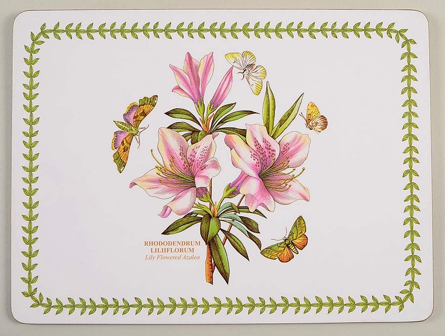 Botanic Garden Small Corkboard Placemat by Portmeirion-1