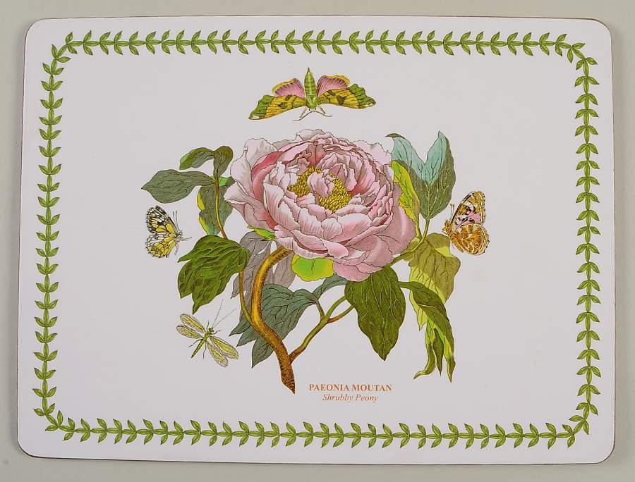 Botanic Garden Small Corkboard Placemat by Portmeirion-1