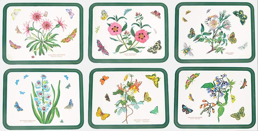 Botanic Garden (Set of 6) 10" Rect Corkboard Placemats w/Grn Bdr by Portmeirion-1