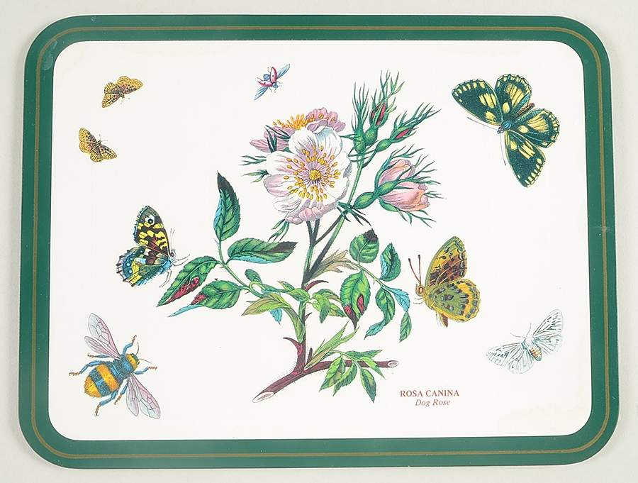 Botanic Garden 10" Rectangular Corkboard Placemat w/Green Border by Portmeirion-1