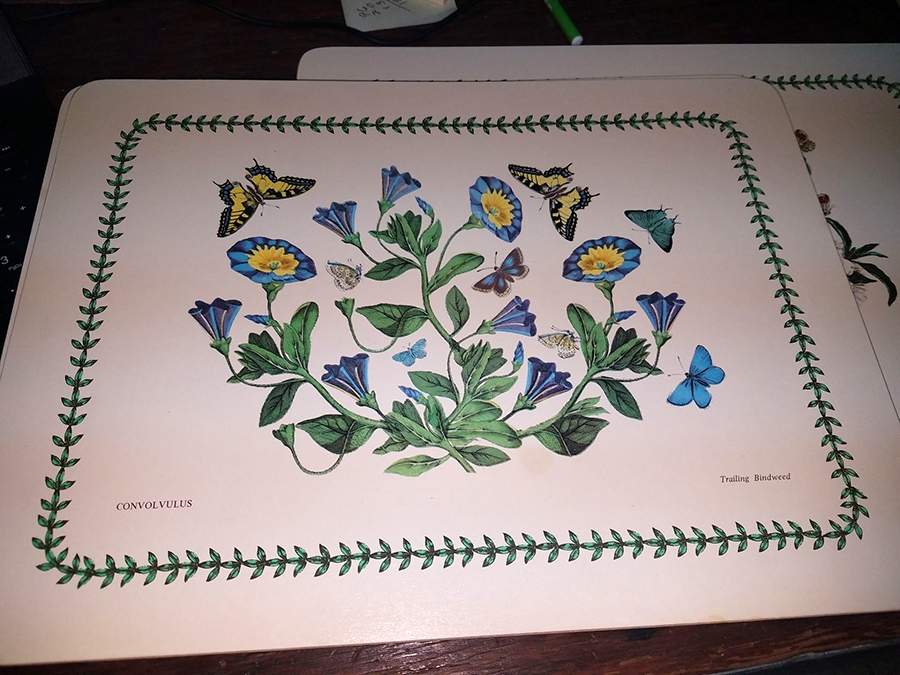 Botanic Garden 13" Rectangular Corkboard Placemat by Portmeirion-1