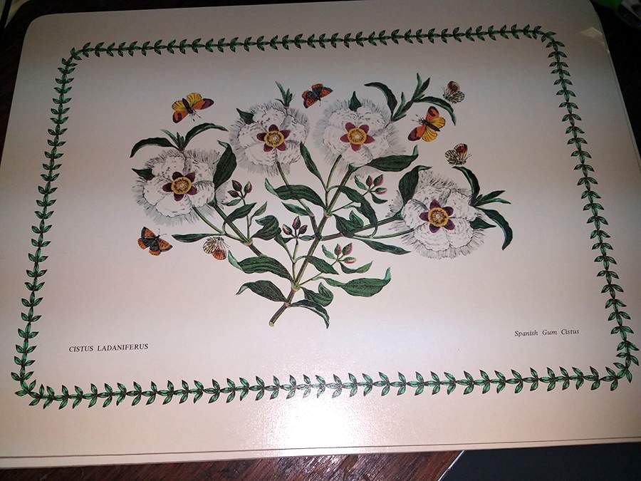 Botanic Garden 13" Rectangular Corkboard Placemat by Portmeirion-1