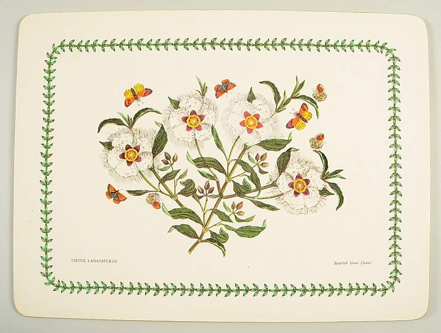 Botanic Garden Corkboard Placemat by Portmeirion-1