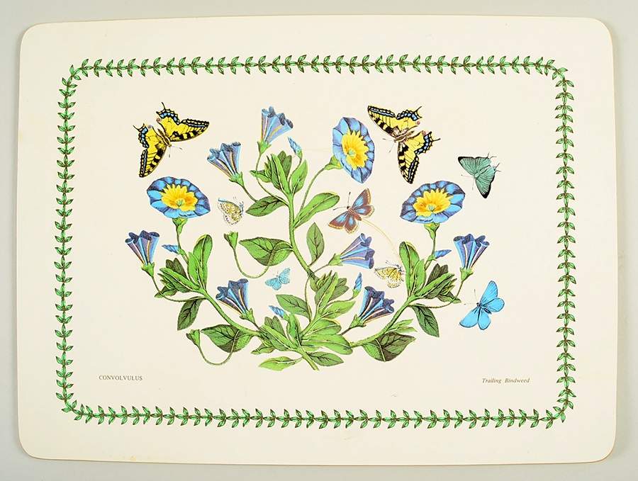 Botanic Garden Corkboard Placemat by Portmeirion-1