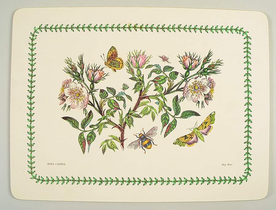Botanic Garden Corkboard Placemat by Portmeirion-1