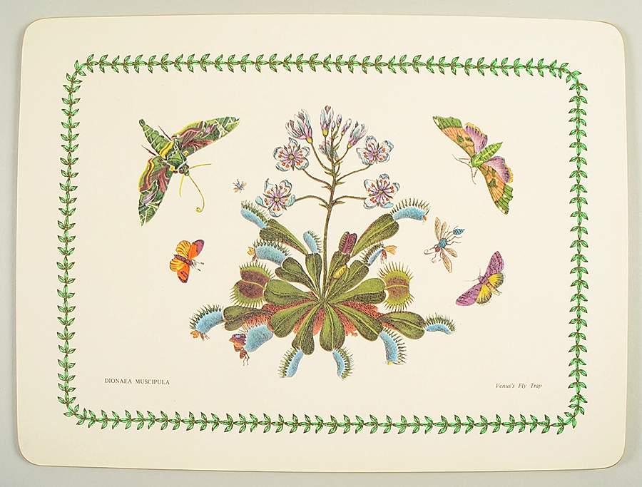 Botanic Garden Corkboard Placemat by Portmeirion-1