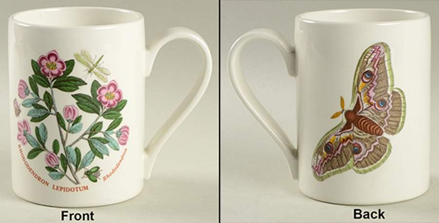 Botanic Garden 1972 Flower & Butterfly Mug by Portmeirion-1