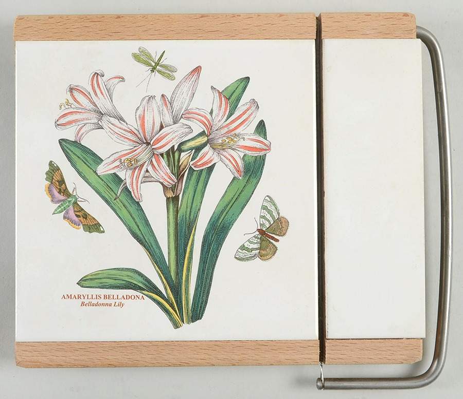 Botanic Garden Cheese Board (1 Tile and Slicer) by Portmeirion-1