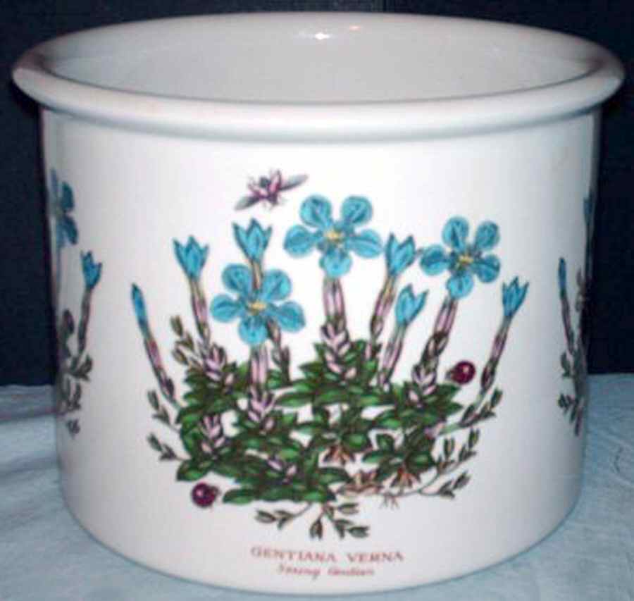 Botanic Garden 4" Planter Pot by Portmeirion-1