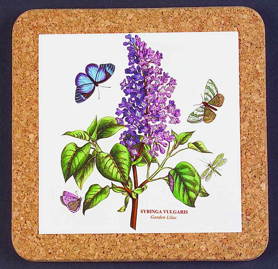 Botanic Garden 7" Square Cork Back Trivet by Portmeirion-1