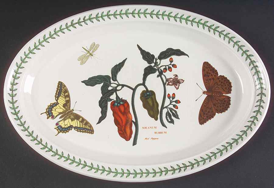 Botanic Garden 13" Oval Steak Platter by Portmeirion-1
