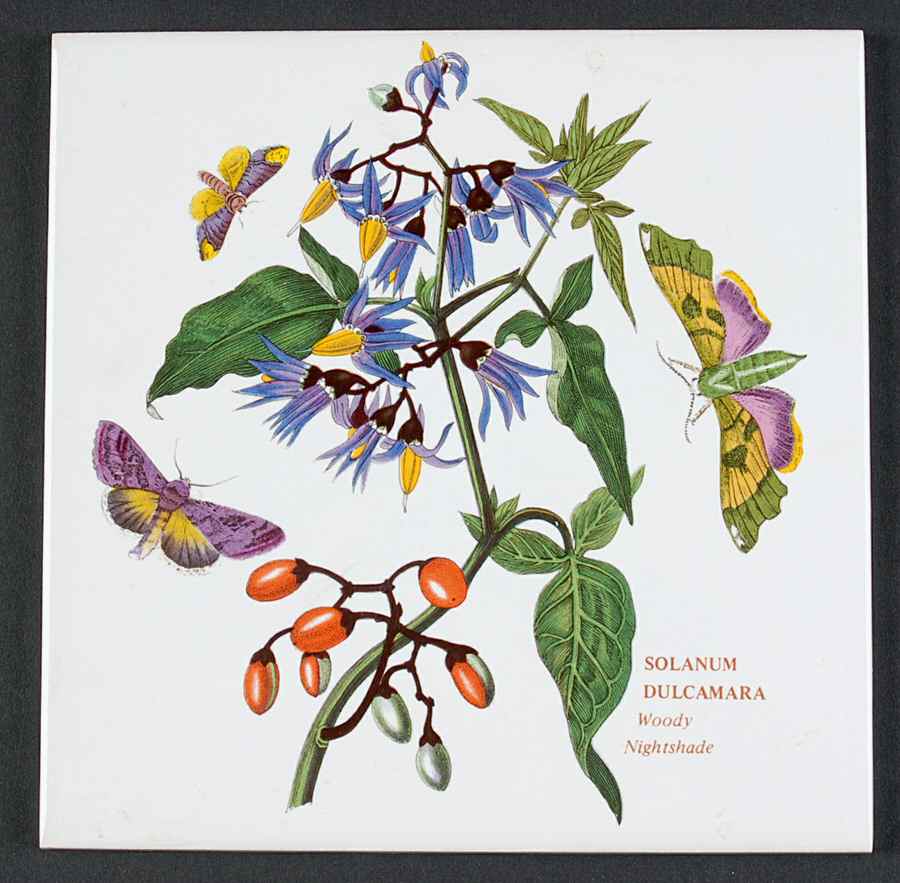 Botanic Garden 6" Wall Tile Aka Tile Insert by Portmeirion-1