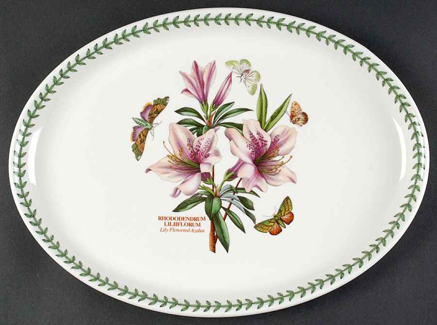 Botanic Garden 14" Oval Steak Platter by Portmeirion-1