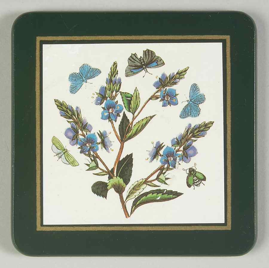 Botanic Garden Green Border Square Wood Coaster w/Felt Back by Portmeirion-1