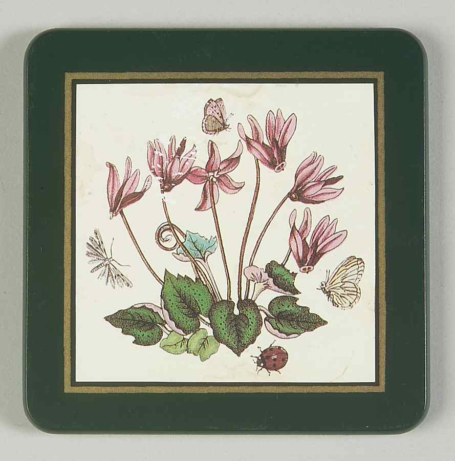 Botanic Garden Green Border Square Wood Coaster w/Felt Back by Portmeirion-1