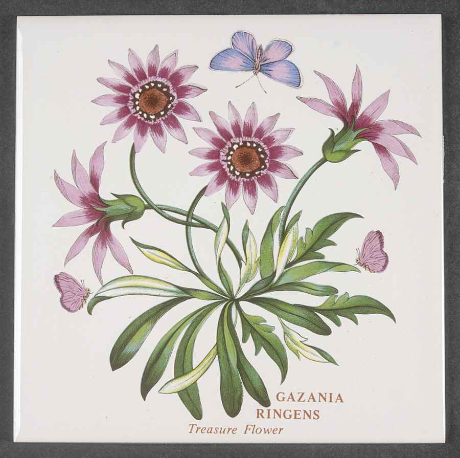 Botanic Garden 6" Wall Tile Aka Tile Insert by Portmeirion-1