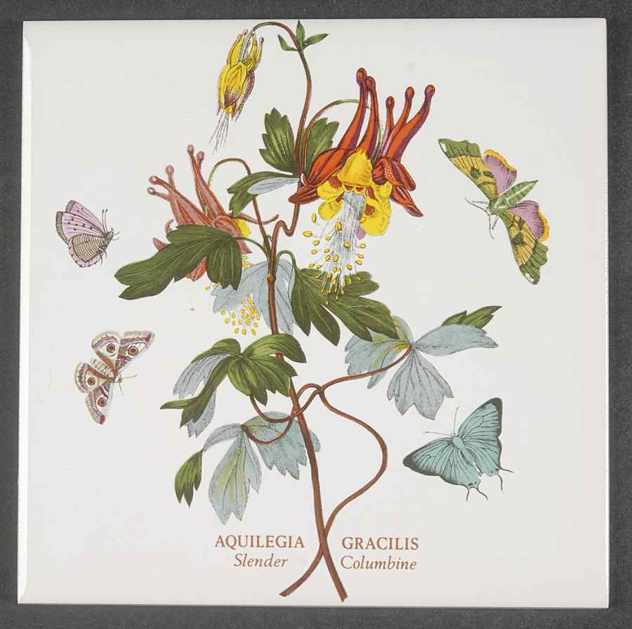 Botanic Garden 6" Wall Tile Aka Tile Insert by Portmeirion-1