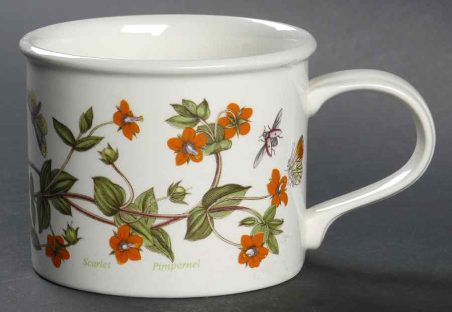 Botanic Garden Drum Breakfast Cup & Saucer by Portmeirion-1