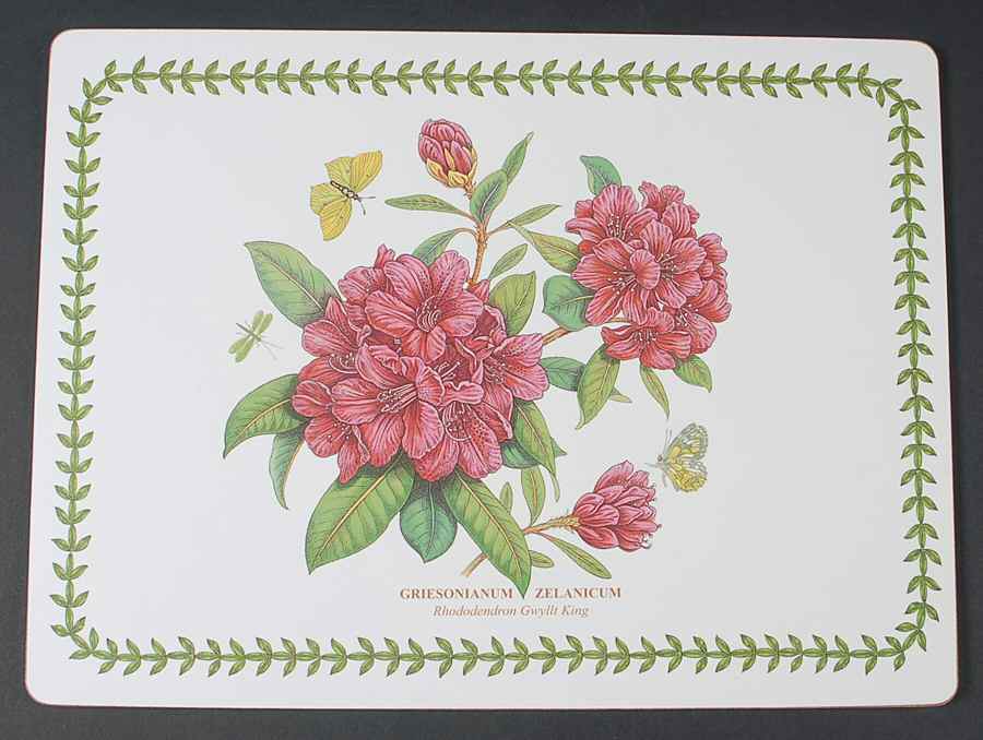 Botanic Garden Corkboard Placemat by Portmeirion-1