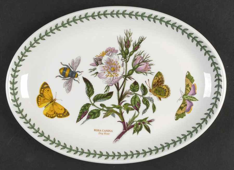Botanic Garden 10" Oval Steak Platter by Portmeirion-1