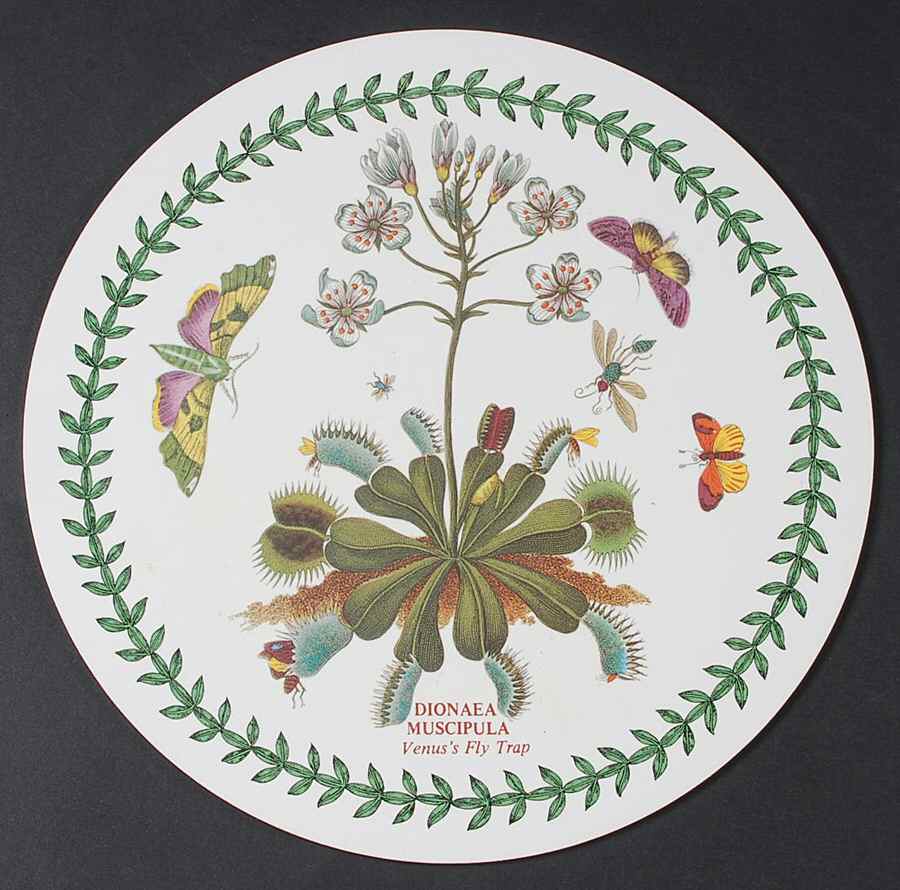 Botanic Garden Round Placemat with Cork Back by Portmeirion-1