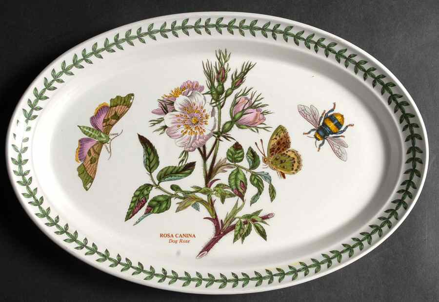 Botanic Garden 11" Oval Steak Platter by Portmeirion-1
