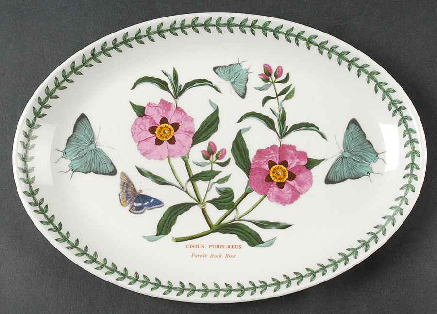 Botanic Garden 10" Oval Steak Platter by Portmeirion-1