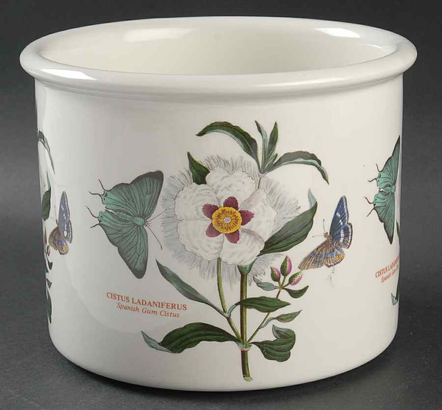 Botanic Garden 5" Planter Pot by Portmeirion-1