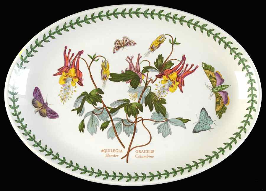 Botanic Garden 10" Oval Steak Platter by Portmeirion-1