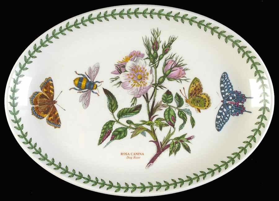 Botanic Garden 10" Oval Steak Platter by Portmeirion-1
