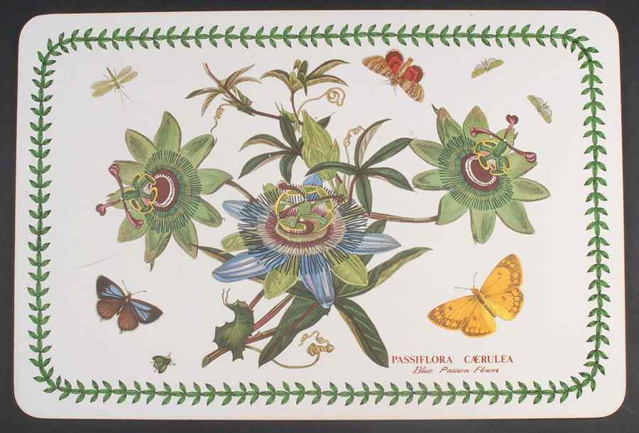 Botanic Garden 17" Large Corkboard Placemat by Portmeirion-1