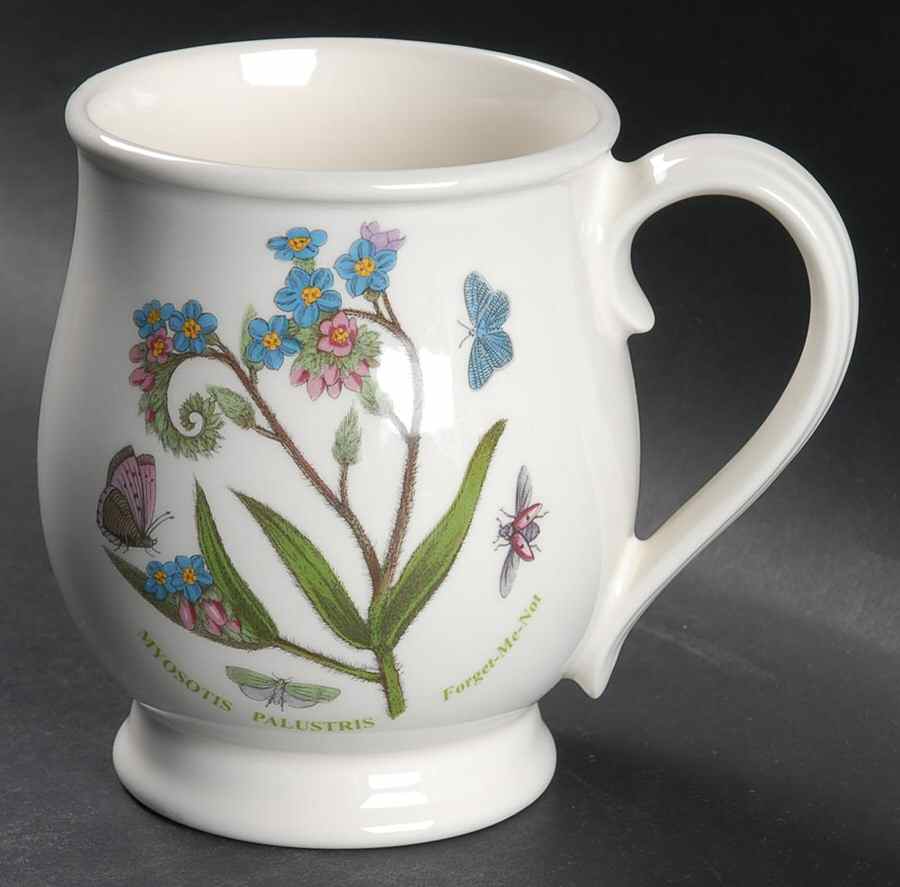 Botanic Garden Bristol Mug by Portmeirion-1