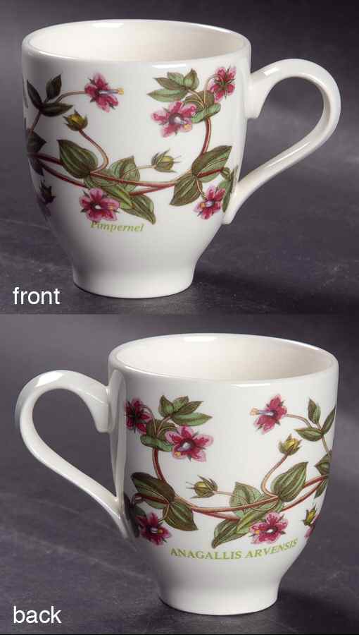 Botanic Garden Footed Demitasse Cup by Portmeirion-1