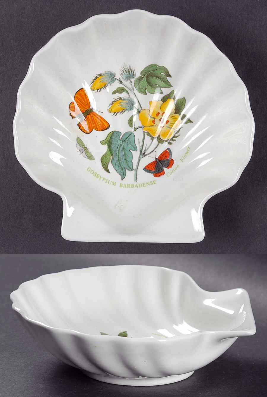 Botanic Garden Shell Shaped Dish by Portmeirion-1