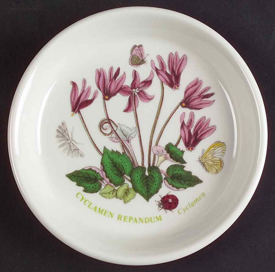Botanic Garden Coaster by Portmeirion-1