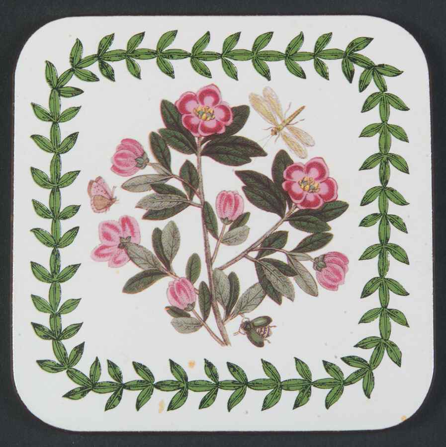 Botanic Garden Square Corkback Coaster by Portmeirion-1