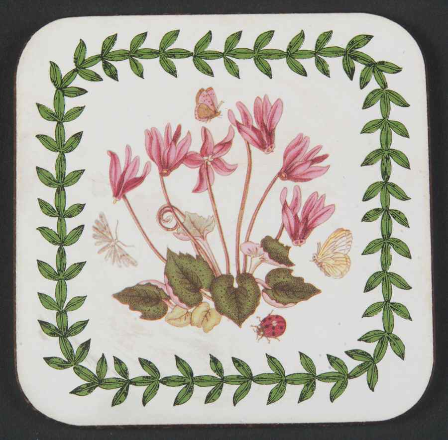 Botanic Garden Square Corkback Coaster by Portmeirion-1